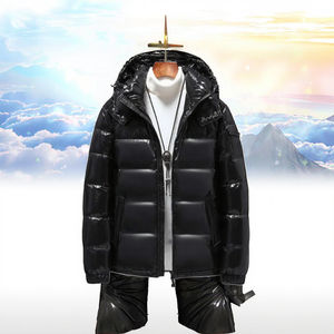 Veste matelassée à capuche pour homme décontractée en gros, col montant, fermeture éclair, hiver, polyester de haute qualité, coupe-vent, respirante - Product Image 3