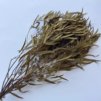 Feuilles d'eucalyptus séchées de l'usine du Yunnan, 120g/lot, eucalyptus préservé et saillies de saule pour la décoration de la maison et de mariages