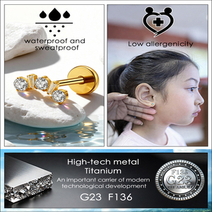 Bijoux de <span class=keywords><strong>piercing</strong></span> en titane de qualité supérieure pour lobe d'oreille, cartilage, hélix, motif feuille et fleur, clou d'oreille pour femme, <span class=keywords><strong>labret</strong></span> plaqué or avec zircon - Product Image 2