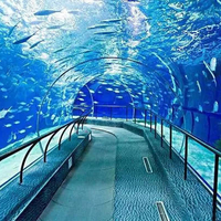 Vente directe du fabricant, bon prix, aquarium tunnel, aquarium en acrylique, tunnel pour aquarium, grand format