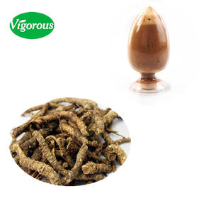 จัดหาผงสกัด Picrorhiza kurroa ธรรมชาติพร้อมตัวอย่างฟรี - Product Image 1
