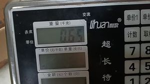 Pièces d'appareils de blanchisserie testeur de réfrigérateur testeur de réfrigérateur en plastique électrique 220V - Product Image 4