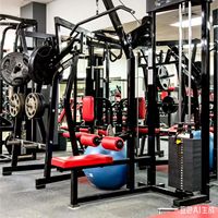 Accessoires d'équipement de fitness pour entraînement en hauteur, Cadre de portique, Joint de câble en acier pour rouleau d'entraînement 'Flying Bird'