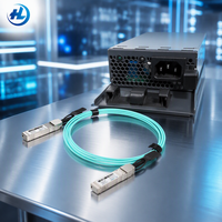 Kabel Optik Aktif Interkoneksi SFP-25G-AOC1M 25G SFP28 ke SFP28 1m