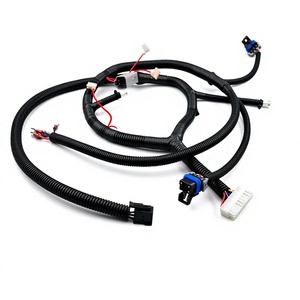 OEM Özel Otomotiv Kablo Demeti, Oluklu Borulu Su Geçirmez Elektrik Kablo Grubu - Product Image 1