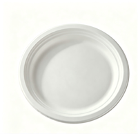 Lot de 4 assiettes rondes en bagasse de canne à sucre, 31,7 x 25,3 cm, blanches, naturelles, jetables, biodégradables et compostables, pour dîner