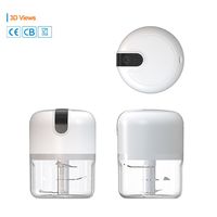 Machine à écraser le gingembre à chargement USB Outil de cuisine robuste et durable Mini hachoir électrique portable