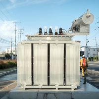 Transformateur de distribution de puissance immergé dans l'huile, triphasé Dyn11, 100 kVA, 11 kV, 35 kV, 400 V, avec mise à la terre neutre - Prix