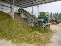 Broyeur de tiges de maïs et déchiqueteur de pailles de riz, machine à broyer les pailles de blé pour combustible biomasse