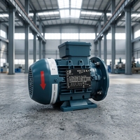 Moteur électrique triphasé WEG W22 10HP - 100HP 4P B3 Basse Tension 400V/50HZ AC