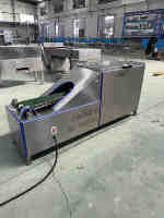 Machine automatique de nettoyage de petits poissons écailles de poisson Tilapia écailleur de poisson frais