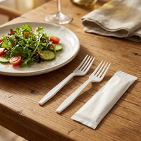 Vaisselle écologique biodégradable, couteau, fourchette, cuillère, ensemble d'ustensiles avec emballage individuel pour la restauration