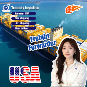 Ddp giá rẻ biển/không khí vận chuyển đến UK/USA/Đức FBA Amazon kho từ Trung Quốc đại lý vận chuyển - Product Image 3