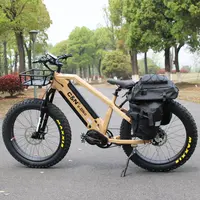 Electric Bike with Dual Battery, 48V, 1000 W, Belt