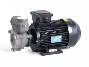 Bomba de Gas-Líquido de Alto Rendimiento 380V 50Hz Max10Bar 533L/min 120m - Product Image 3