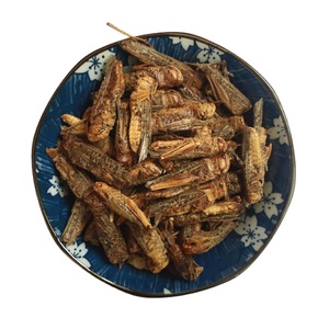 Huang Chong แมลงกินได้สำหรับเครื่องเทศและสมุนไพรเดี่ยว - Product Image 1