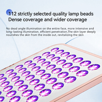 Profession elle elektrische schnur lose Hautpflege Rotlicht therapie Panel Beauty Device LED Make-up Spiegel