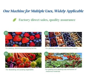 Pulpeuse à fruits à <span class=keywords><strong>prix</strong></span> compétitif et haute productivité - Product Image 2
