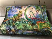Couverture de dinosaure en polaire douce en polyester 100% cadeau de Noël pour garçons avec motifs d'animaux de dessin animé et de points rayés