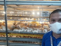 Rôtissoire entièrement automatique équipement automatique de sortie de poulet élevage de volailles cage de poussin élevage de poulets de chair récolte