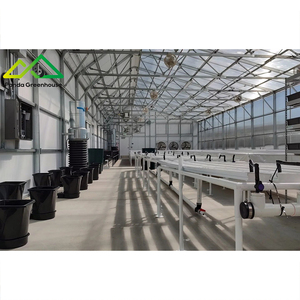 نظام الزراعة المائية المتكامل في الدفيئات: حل متكامل لتربية الأسماك والخضروات للإنتاج التجاري - Product Image 6