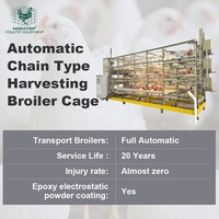 Cage pour poulets de chair à cadre en H avec système de récolte automatique à chaîne