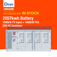 Deye Winter WS-GS2000-2H3 1000kW 2057kWh Conteneur BESS 20 pieds IP54 C4-M Solution Micro-réseau Hybride 1MW 2.05MWh Batterie LFP ESS