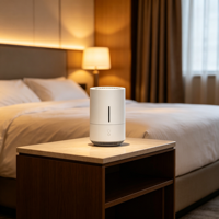Mini diffuseur d'arômes multifonctionnel à brancher et humidificateur ionisant avec barre d'oxygène, commande par bouton, veilleuse pour voiture, bureau, maison