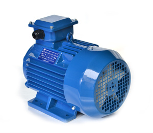 มอเตอร์เหนี่ยวนำไฟฟ้ากระแสสลับสามเฟส Hongma HMI-100LA 220-400V 50/60HZ 2.2KW IP55 ผลิตในประเทศจีน - Product Image 3