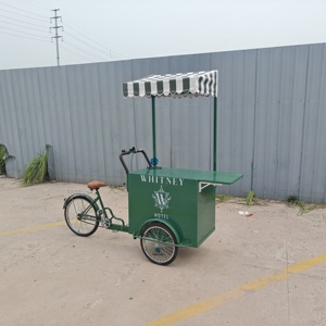 Triciclo de comida rápida Hotdog más popular, carrito de comida móvil, uso comercial, diseño ligero - Product Image 2