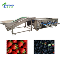 Shepody Automatische Chili Kersen Citrus Sorteermachine voor Landbouw, Geschikt voor Groente- en Fruitverwerkingslijnen