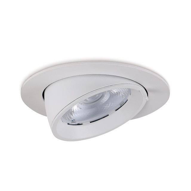 30W 40W 50W Movable Adjustable LED Downlight Adjust Down Lights