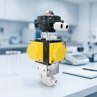 Vanne à aiguille à bille en acier inoxydable 316L, manuelle, 150000PSI-20000PSI, avec garniture RPTFE, étanchéité métal-métal haute pression, 1/4"-1"