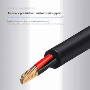 สายไฟยุโรปแบบ 2 ขา CEE7/16 หัวปลั๊ก EU 2 ขา ตัวผู้ ตัวเมีย IEC แรงดันสูง 1.8 เมตร IP12 สายไฟต่อพ่วงแบบ 2 ทาง ปลั๊กต่อพ่วง 2 ช่อง - Product Image 2