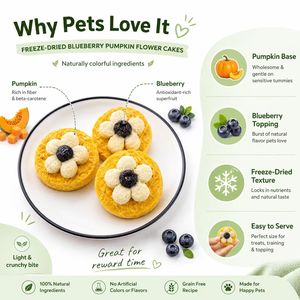 Premium Organic Antioxidant Rich Dental Care Bulk Small Batch Export Quality Healthy Pet Treats Freeze Dried Blueberry Pumpkin - Product Image 5