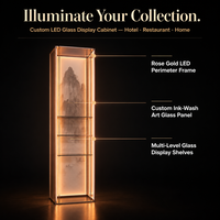 Vitrine moderne en verre translucide rétroéclairée par LED, étagères en acier inoxydable, séparateur de pièce à motifs, étagère à vin décorative