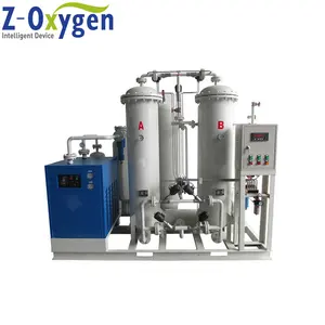 Z-Oxygen Best Quality PSA Nitrogen Generator Produces Gaseous N2 Liquid Nitrogen Manufacture With Certificate