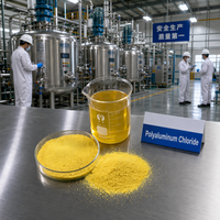 Chlorure de Polyaluminium 28% PAC, Produit Chimique pour le Traitement de l'Eau des Piscines, Qualité Industrielle, Haute Pureté, Certifié ISO, Fabricant