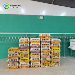 Équipement automatique de <span class=keywords><strong>boucherie</strong></span> d'abattage de poulets et machines d'abattoir de poulets - Product Image 6