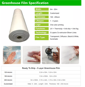 150 v עמיד ldpe חממה פלסטיק פוליאתילן סרט חממה 200 מיקרון סרט חממה - Product Image 4