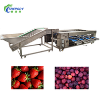 Shepody Automatische 304 RVS Appel Ui Sinaasappel Blauwe Bes Aardappel Avocado Dadel Fruit Tomaat Sorteer- en Graderingsmachine