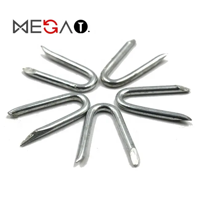 China Cheap price good quality Galvanized U Fence Staple/U Shaped Nail U Wire Nails