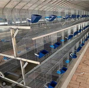 Elevage Cages à lapins en plein air femelles à trois couches Kenya Cage à lapins fermes fil Cage à lapins vente en Naira nigérian - Product Image 6