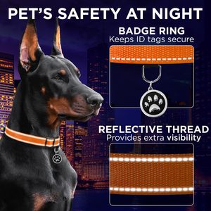TECEUM Reflective <b>Dog</b> <b>Collar</b> Orange <b>Large</b> Premium Nylon Pet <b>Collar</b> With Quick Release Buckle For <b>Large</b> <b>Dogs</b> - Product Image 4