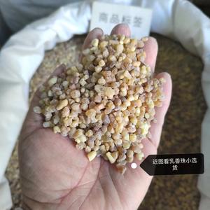 Doğal bucenbucengözyaşları - Product Image 2