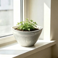 Pot Bunga Modern Bentuk Mangkuk dengan Finishing Batu untuk Luar Ruangan, Dalam Ruangan, Meja, dan Ambang Jendela