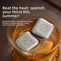 Glaçons carrés réutilisables à refroidissement rapide en acier inoxydable 304 avec placage en titane de qualité alimentaire pour whisky