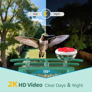 Comedero para Pájaros con Cámara Solar para Exteriores con Reconocimiento IA - Cámara <span class=keywords><strong>de</strong></span> Video en Vivo 2K HD para Pájaros Silvestres, Decoración <span class=keywords><strong>de</strong></span> Jardín - Product Image 4
