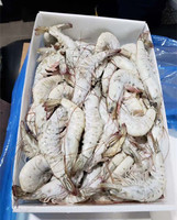 Coroplast PP personnalisé tôle creuse carton boîte en plastique ondulé boîte de fruits de mer emballage crevettes surgelées boîtes de crevettes surgelées