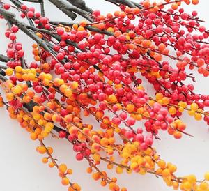 ต้นไม้ประดิษฐ์ติดเพดานสี<span class=keywords><strong>แดง</strong></span> ตกแต่งคริสต์มาส ผลไม้บานสะพรั่ง ดูเป็นธรรมชาติ ต้นไม้และพืชประดิษฐ์ในกระถาง - Product Image 2